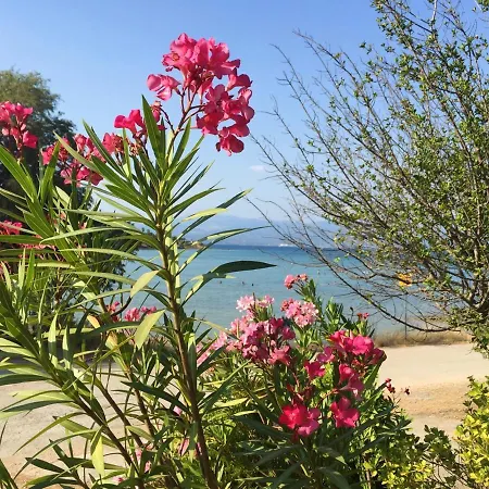 아파트 3 Bedrooms At Anthidona 60 M Away From The Beach With Sea View Furnished Balcony And Wifi Saint Minas